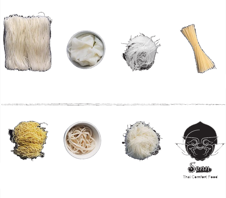 The variety showcase of noodle types
